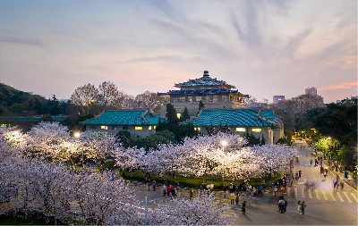 武漢大學(xué)（國家“雙一流”、“985工程”、“211工程”）