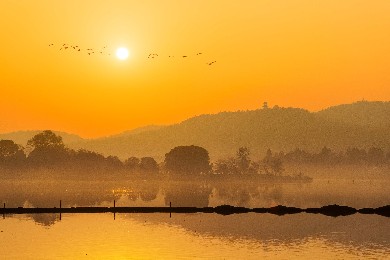 國(guó)家AAAA級(jí)景區(qū)——湖北九峰國(guó)家森林公園九峰森林動(dòng)物園