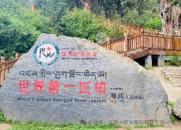 西藏林芝巴結(jié)巨柏自然保護(hù)區(qū)上線鐵軍智能景區(qū)閘機系統(tǒng)