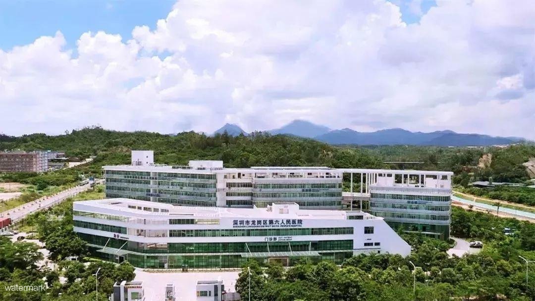 深圳市龍崗區(qū)第六人民醫(yī)院——粵康碼人臉識別測溫擺閘項(xiàng)目